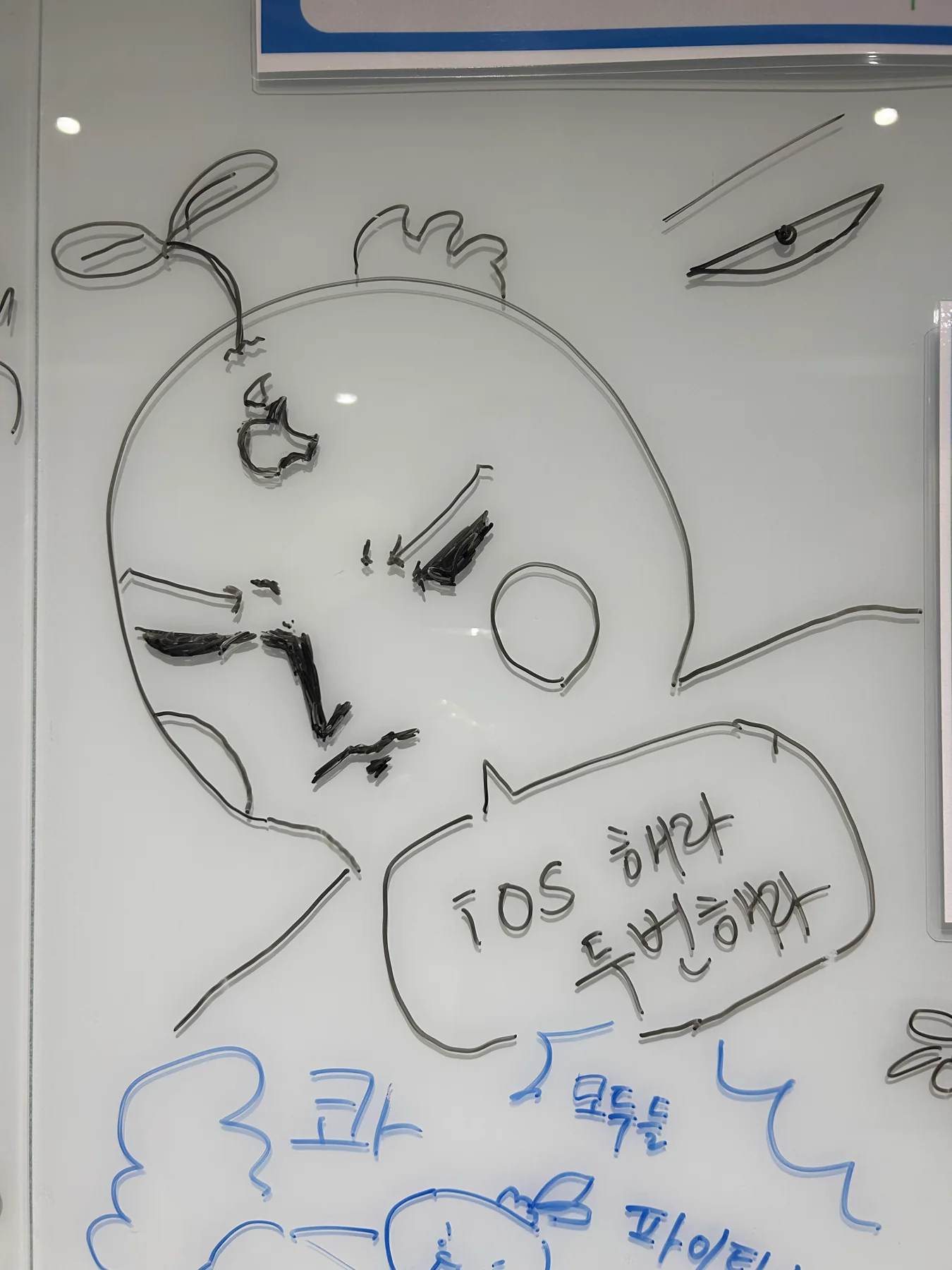 iOS 개발자와 취업 전략을 설명하는 화이트보드 그림